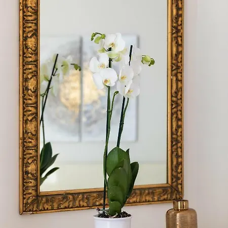 The Brilliance - The Ultimate Experience Bordighera